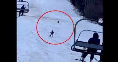 На горнолыжном курорте в Румынии медведь устроил погоню за лыжником (видео)
