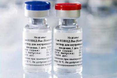 Турция готова производить вакцину «Спутник V» миллионами доз