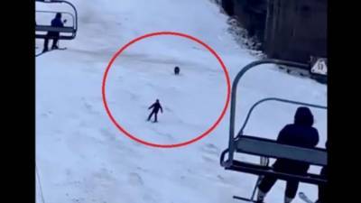 Очевидцы сняли погоню медведя за лыжником на курорте в Румынии