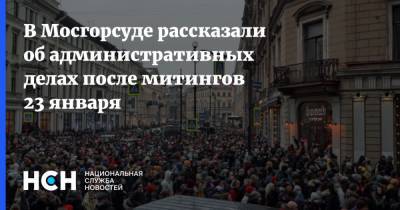 В Мосгорсуде рассказали об административных делах после митингов 23 января