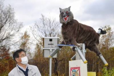 В Японии создали робота-монстра: Он будет отпугивать хищных животных