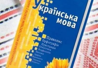Украинский станет обязательным языком для ВНО с 2025 года