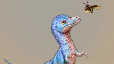 Ученые смоделировали внешний вид ребенка-тираннозавра