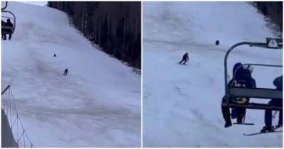 Медведь пустился в погоню за лыжником в Румынии