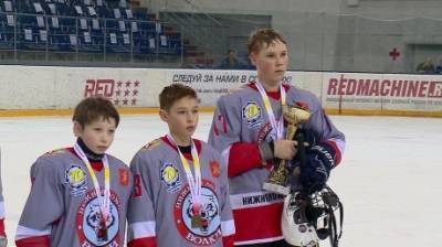 Нижнеломовские хоккеисты попали во всероссийский финал «Золотой шайбы»