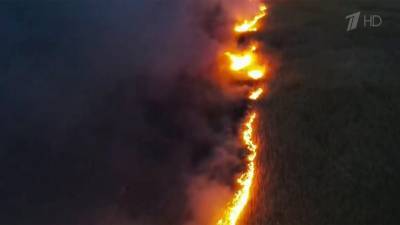 Под Анапой более десяти часов тушили крупный природный пожар