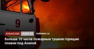 Больше 10 часов пожарные тушили горящие плавни под Анапой
