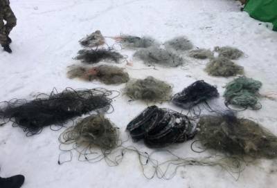 В Приозерском районе у рыбаков изъяли 1 500 метров сетей