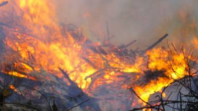 Крупный природный пожар ликвидировали в Анапе
