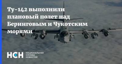 Ту-142 выполнили плановый полет над Беринговым и Чукотским морями