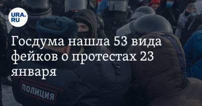 Госдума нашла 53 вида фейков о протестах 23 января