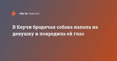 В Керчи бродячая собака напала на девушку и повредила ей глаз