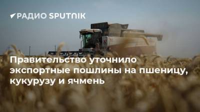 Правительство уточнило экспортные пошлины на пшеницу, кукурузу и ячмень