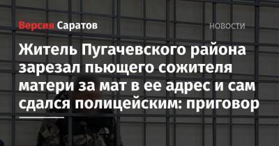 Житель Пугачевского района зарезал пьющего сожителя матери за мат в ее адрес и сам сдался полицейским: приговор