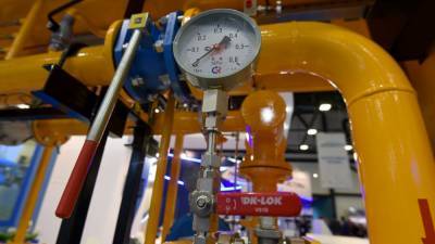 Член ОПЗЖ объяснил причину резкого повышения цен на газ на Украине
