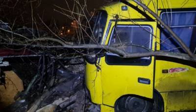 В Киеве пьяный водитель "Богдана" сбил велосипедиста: кадры последствий ДТП