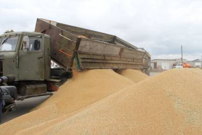 РФ может продолжить корректировку механизма регулирования экспорта зерновых