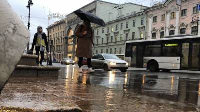 Аномально теплая погода ожидается в Петербурге 26 января