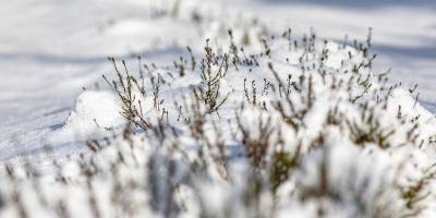 Новое похолодание: синоптик рассказала, ждать ли снова экстремальных морозов в Украине