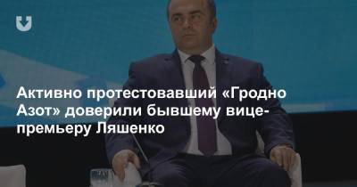 Активно протестовавший «Гродно Азот» доверили бывшему вице-премьеру Ляшенко