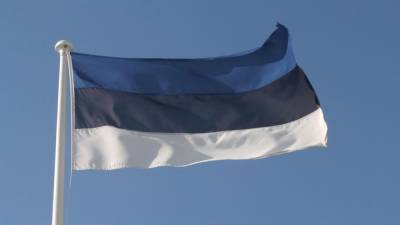 Озвучен новый состав правительства Эстонии