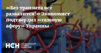 «Без транзита всё развалится». Экономист подтвердил «газовую аферу» Украины