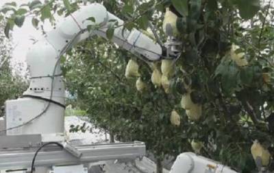 В Японии создали робота-фермера - korrespondent.net - Япония - Иокогама - Yokohama