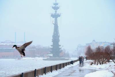 Врач назвала россиянам способы борьбы с сонливостью теплой зимой
