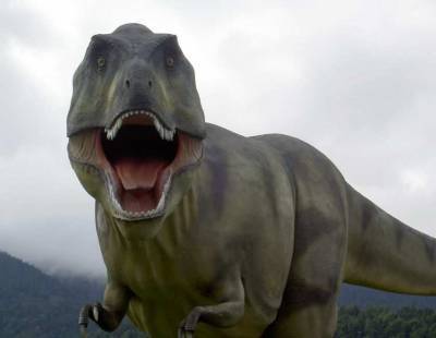 Ученые: Детеныши тираннозавров были размером с собаку