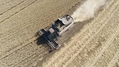 Союз экспортеров зерна оценил повышение пошлин на экспорт пшеницы с 1 марта