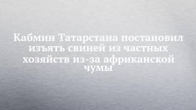 Кабмин Татарстана постановил изъять свиней из частных хозяйств из-за африканской чумы