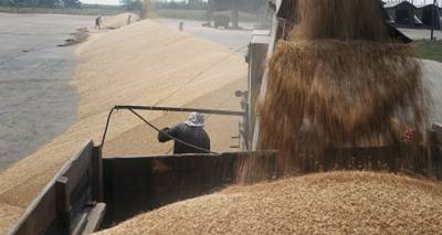 Россия увеличивает экспортную пошлину на пшеницу: как это отразится на Грузии