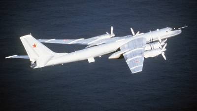 Военный эксперт объяснил, почему истребители Ту-142 были у берегов Аляски