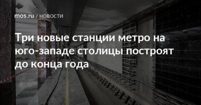 Три новые станции метро на юго-западе столицы построят до конца года