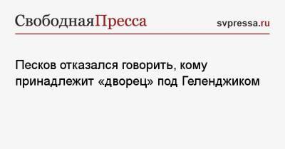 Песков отказался говорить, кому принадлежит «дворец» под Геленджиком