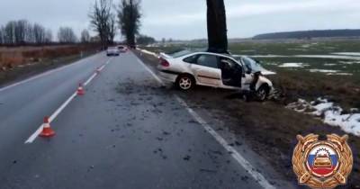 Под Правдинском легковушка въехала в дерево, водитель скончался (видео с места ДТП) - klops.ru - Калининград - Правдинск