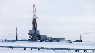 В Коми новые арктические резиденты построят два завода