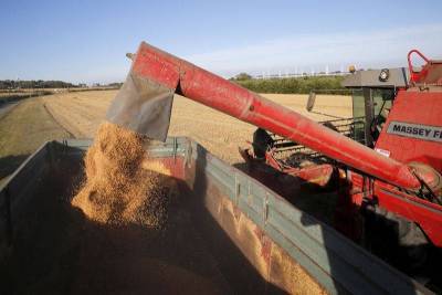 РФ утвердила повышение экспортной пошлины на пшеницу с 1 мар до 50 евро за тонну