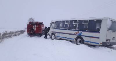 На Волыни в снежный сугроб попал школьный автобус с детьми (3 фото)