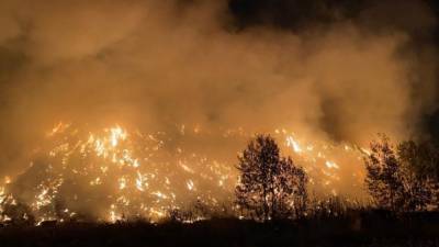 Найден способ своевременного выявления лесных пожаров