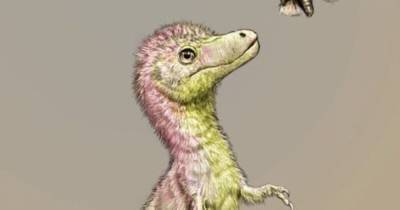 Палеонтологи впервые смогли выяснить размеры детенышей тираннозавров