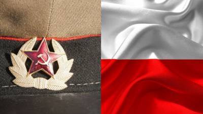 Польские общественники назвали подлостью снос мемориала красноармейцам