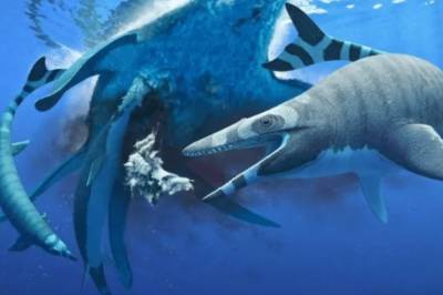 В Африке обнаружили новый вид вымершей морской рептилии: Ее зубы напоминают пилу
