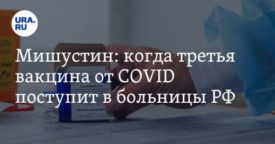 Мишустин: когда третья вакцина от COVID поступит в больницы РФ