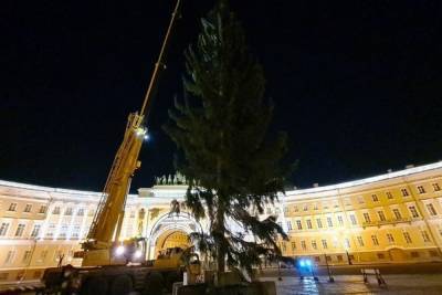 Главная елка Петербурга пойдет на сувениры не раньше весны