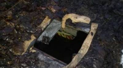 В Толочинском районе задержали вора-рецидивиста, прятавшегося в лесах и заброшенном погребе