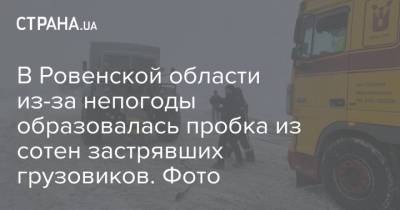 В Ровенской области из-за непогоды образовалась пробка из сотен застрявших грузовиков. Фото