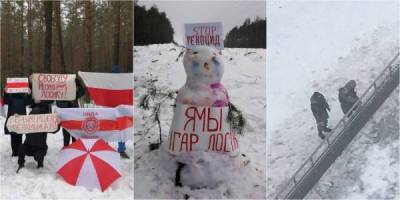 Хроника 24 января: протестные снеговики и силовики против ленточек