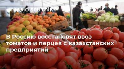 В Россию восстановят ввоз томатов и перцев с казахстанских предприятий