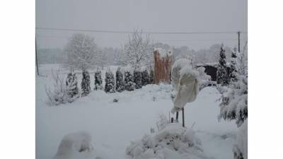 Соседние с Украиной воеводства Польши замело снегом, более 80 тысяч человек остались без света